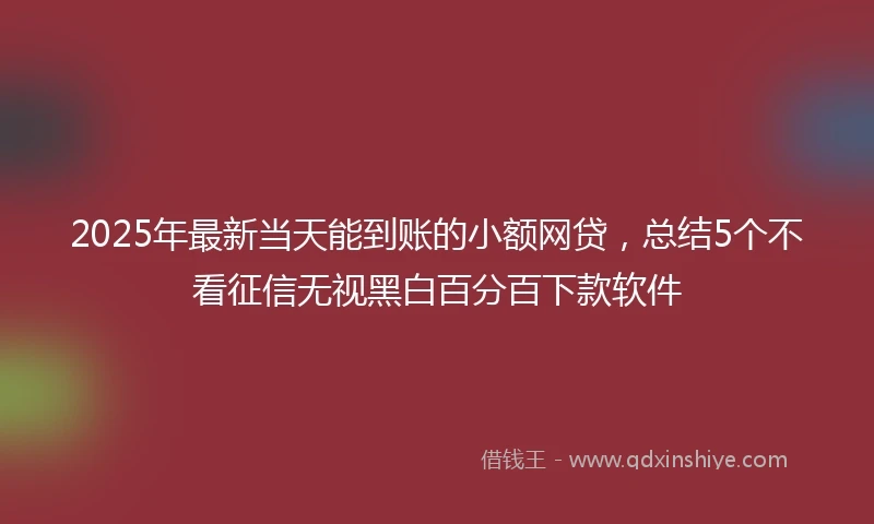 2025年最新当天能到账的小额网贷，总结5个不看征信无视黑白百分百下款软件