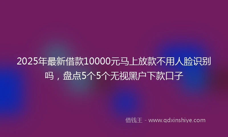 2025年最新借款10000元马上放款不用人脸识别吗，盘点5个5个无视黑户下款口子