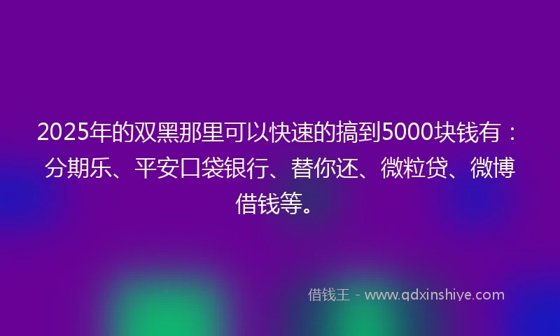 2025年的双黑那里可以快速的搞到5000块钱有：分期乐、平安口袋银行、替你还、微粒贷、微博借钱等。