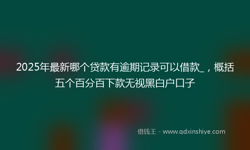 2025年最新哪个贷款有逾期记录可以借款_，概括五个百分百下款无视黑白户口子