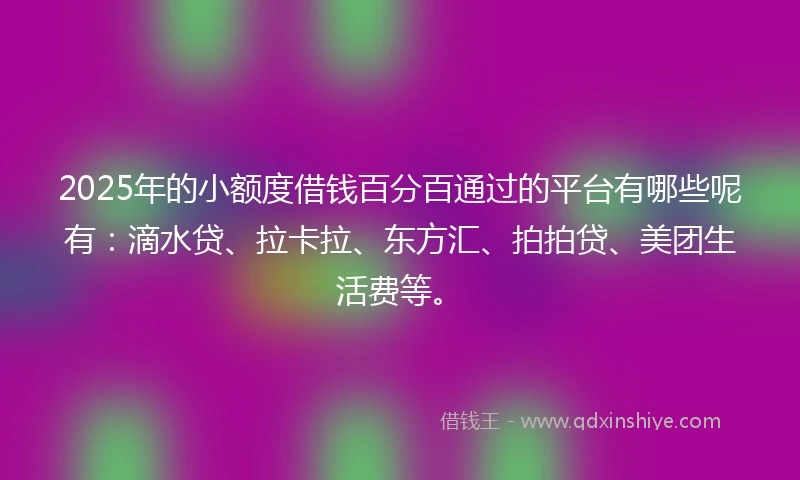 2025年的小额度借钱百分百通过的平台有哪些呢有：滴水贷、拉卡拉、东方汇、拍拍贷、美团生活费等。