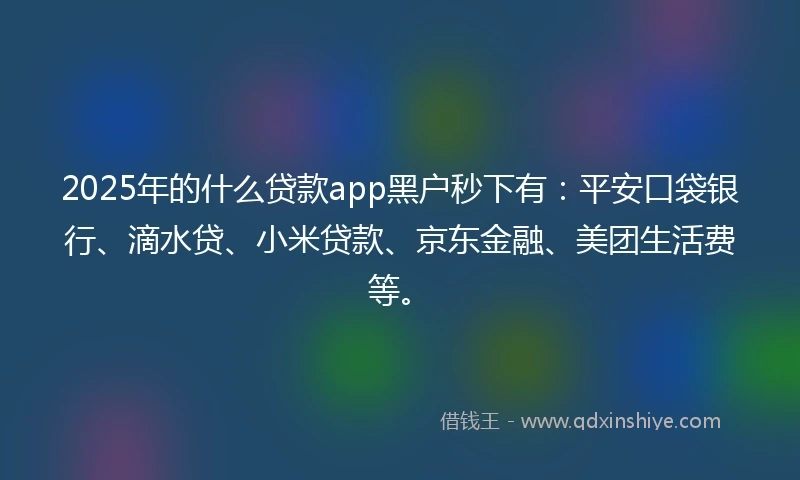2025年的什么贷款app黑户秒下有：平安口袋银行、滴水贷、小米贷款、京东金融、美团生活费等。