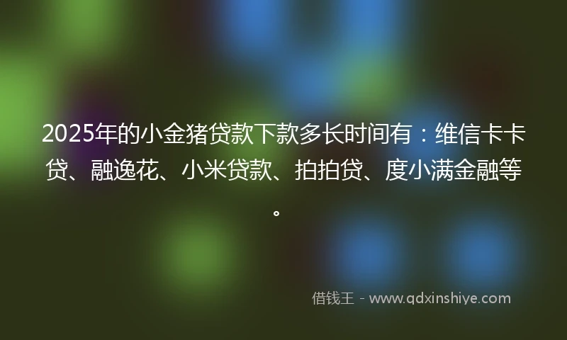 2025年的小金猪贷款下款多长时间有：维信卡卡贷、融逸花、小米贷款、拍拍贷、度小满金融等。