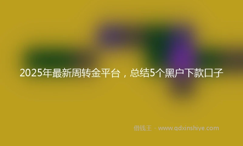 2025年最新周转金平台，总结5个黑户下款口子