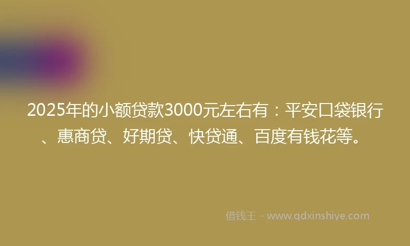 2025年的小额贷款3000元左右有：平安口袋银行、惠商贷、好期贷、快贷通、百度有钱花等。