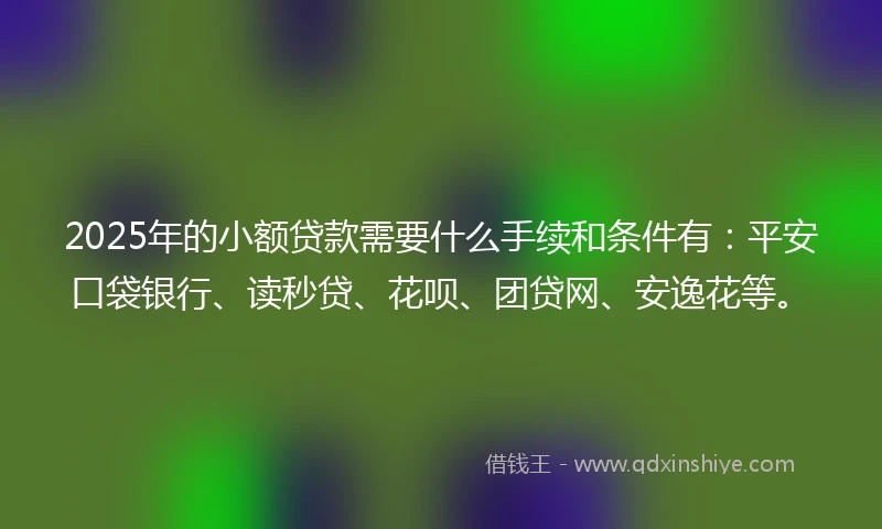 2025年的小额贷款需要什么手续和条件有：平安口袋银行、读秒贷、花呗、团贷网、安逸花等。