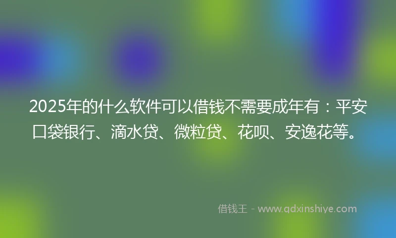 2025年的什么软件可以借钱不需要成年有：平安口袋银行、滴水贷、微粒贷、花呗、安逸花等。