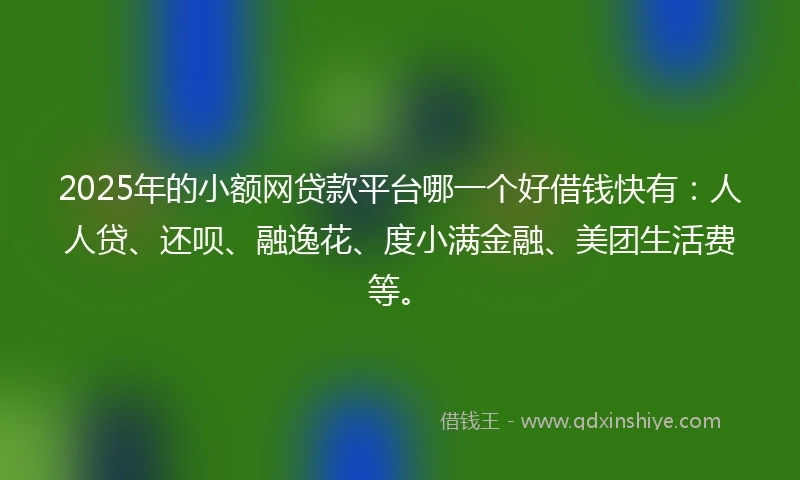 2025年的小额网贷款平台哪一个好借钱快有：人人贷、还呗、融逸花、度小满金融、美团生活费等。