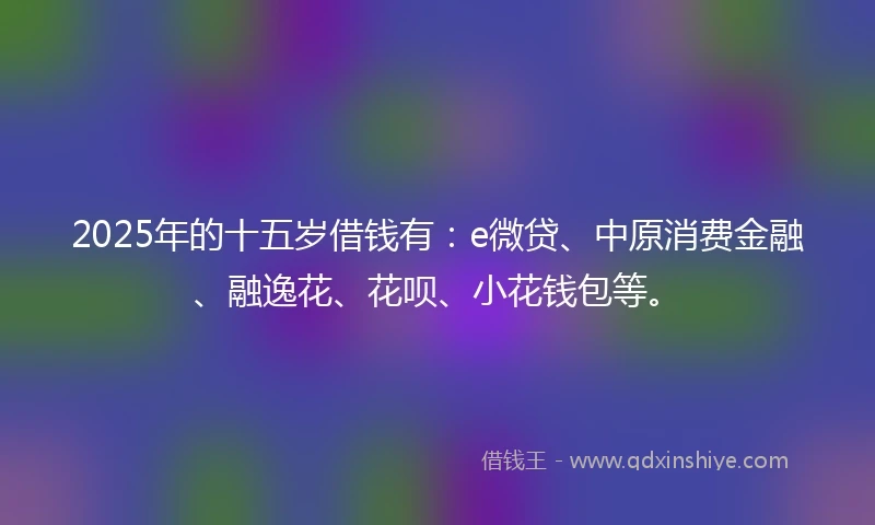 2025年的十五岁借钱有：e微贷、中原消费金融、融逸花、花呗、小花钱包等。