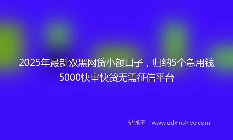 2025年最新双黑网贷小额口子，归纳5个急用钱5000快审快贷无需征信平台
