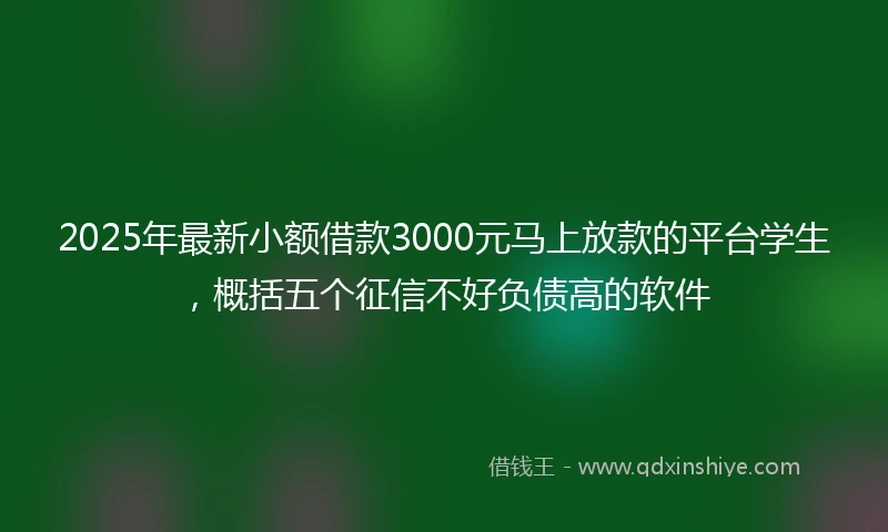 2025年最新小额借款3000元马上放款的平台学生，概括五个征信不好负债高的软件
