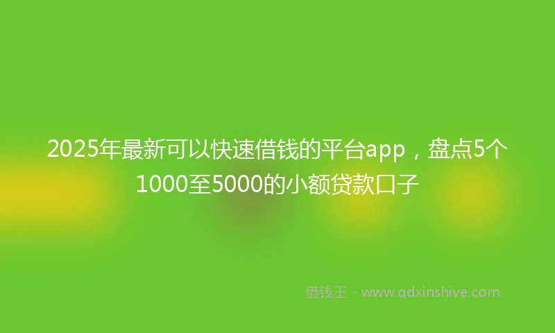 2025年最新可以快速借钱的平台app，盘点5个1000至5000的小额贷款口子