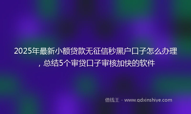 2025年最新小额贷款无征信秒黑户口子怎么办理，总结5个审贷口子审核加快的软件