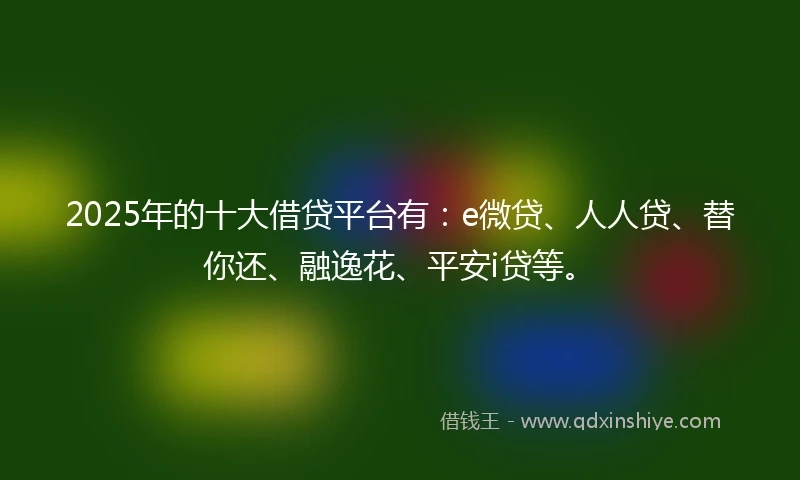 2025年的十大借贷平台有：e微贷、人人贷、替你还、融逸花、平安i贷等。