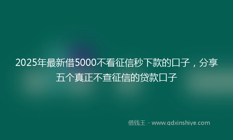 2025年最新借5000不看征信秒下款的口子，分享五个真正不查征信的贷款口子