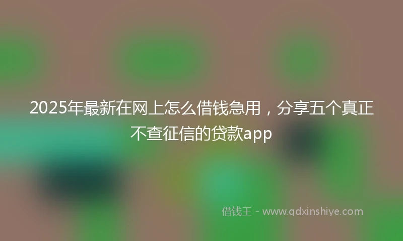 2025年最新在网上怎么借钱急用，分享五个真正不查征信的贷款app
