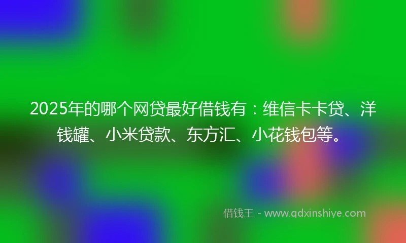 2025年的哪个网贷最好借钱有：维信卡卡贷、洋钱罐、小米贷款、东方汇、小花钱包等。