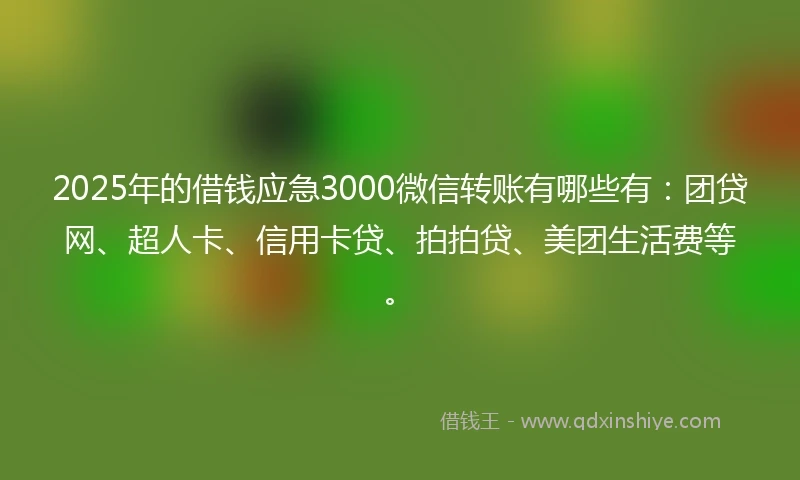 2025年的借钱应急3000微信转账有哪些有：团贷网、超人卡、信用卡贷、拍拍贷、美团生活费等。