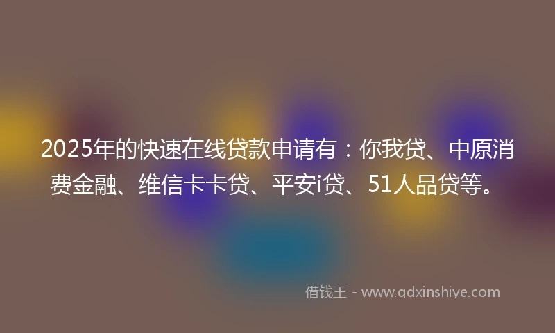 2025年的快速在线贷款申请有：你我贷、中原消费金融、维信卡卡贷、平安i贷、51人品贷等。
