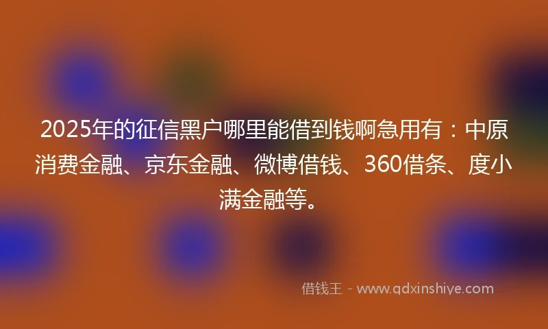 2025年的征信黑户哪里能借到钱啊急用有：中原消费金融、京东金融、微博借钱、360借条、度小满金融等。