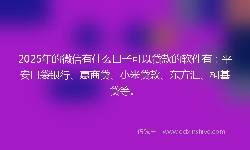 2025年的微信有什么口子可以贷款的软件有：平安口袋银行、惠商贷、小米贷款、东方汇、柯基贷等。