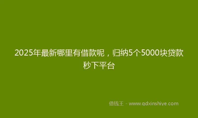 2025年最新哪里有借款呢，归纳5个5000块贷款秒下平台