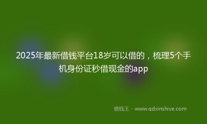 2025年最新借钱平台18岁可以借的，梳理5个手机身份证秒借现金的app
