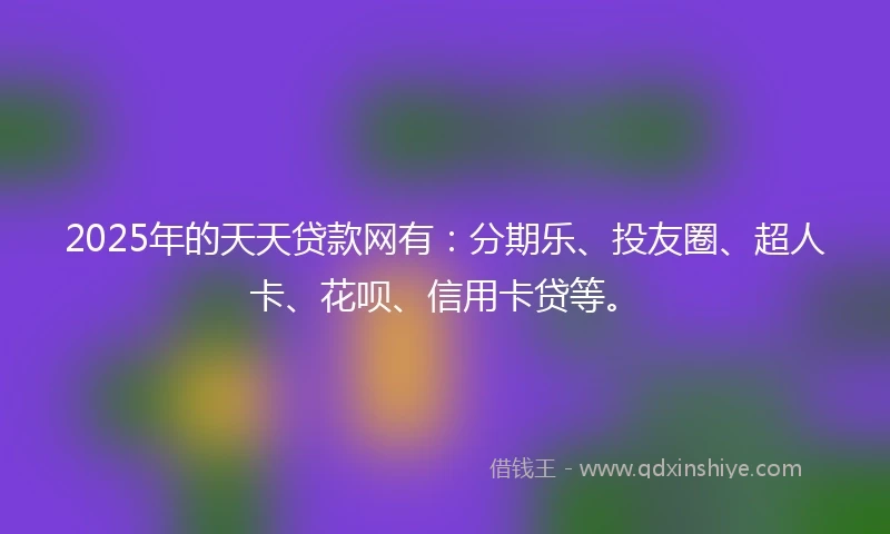 2025年的天天贷款网有：分期乐、投友圈、超人卡、花呗、信用卡贷等。