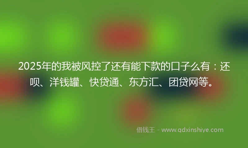 2025年的我被风控了还有能下款的口子么有：还呗、洋钱罐、快贷通、东方汇、团贷网等。