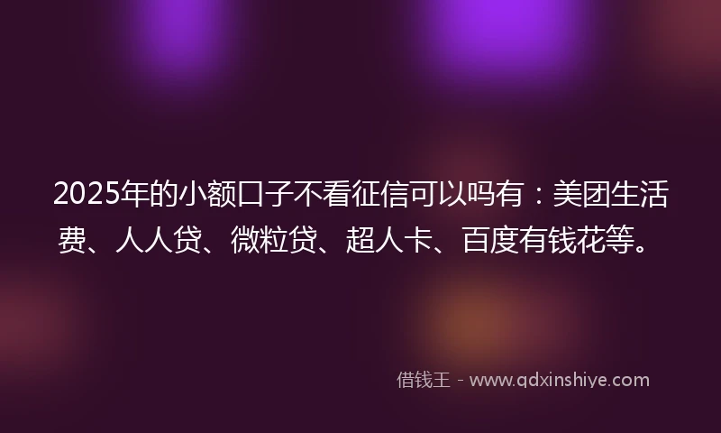 2025年的小额口子不看征信可以吗有：美团生活费、人人贷、微粒贷、超人卡、百度有钱花等。