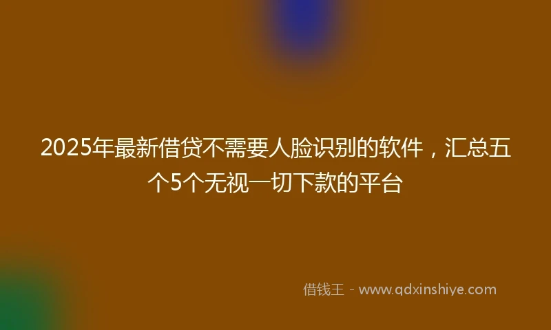 2025年最新借贷不需要人脸识别的软件，汇总五个5个无视一切下款的平台