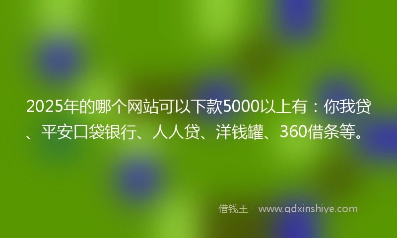 2025年的哪个网站可以下款5000以上有：你我贷、平安口袋银行、人人贷、洋钱罐、360借条等。