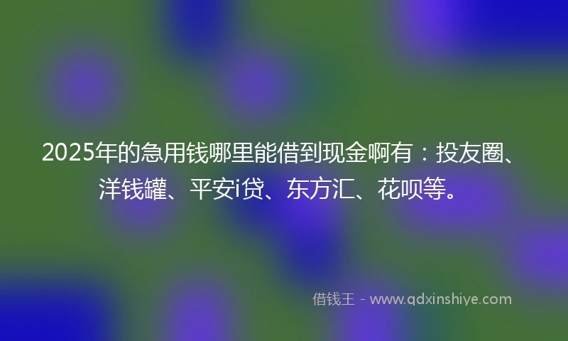 2025年的急用钱哪里能借到现金啊有：投友圈、洋钱罐、平安i贷、东方汇、花呗等。