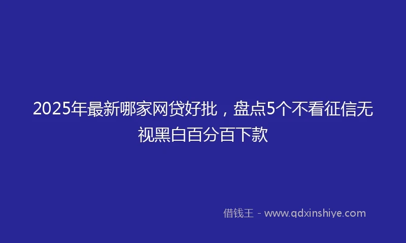 2025年最新哪家网贷好批，盘点5个不看征信无视黑白百分百下款