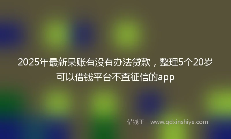 2025年最新呆账有没有办法贷款，整理5个20岁可以借钱平台不查征信的app