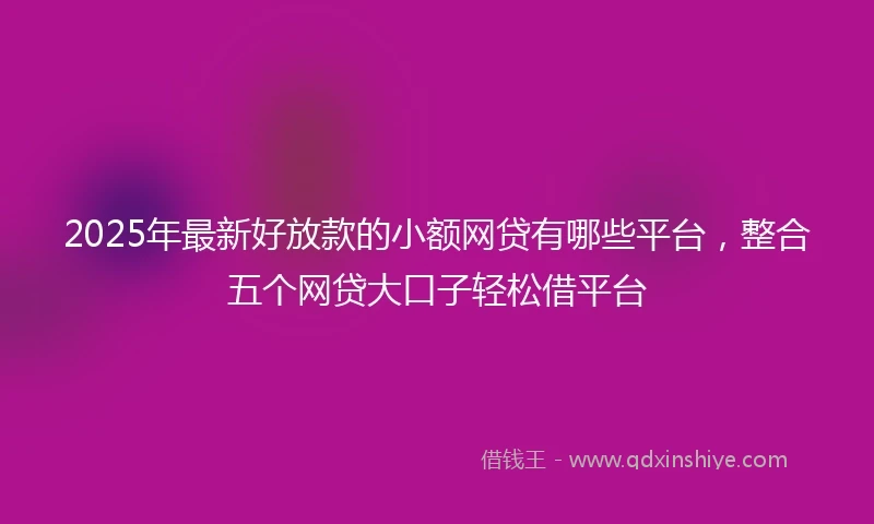 2025年最新好放款的小额网贷有哪些平台，整合五个网贷大口子轻松借平台
