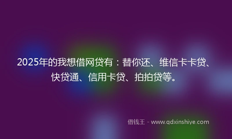 2025年的我想借网贷有：替你还、维信卡卡贷、快贷通、信用卡贷、拍拍贷等。