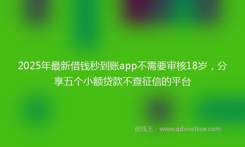 2025年最新借钱秒到账app不需要审核18岁，分享五个小额贷款不查征信的平台