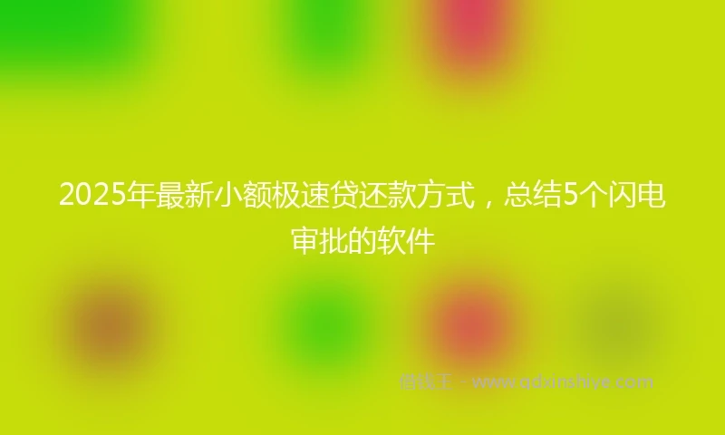 2025年最新小额极速贷还款方式，总结5个闪电审批的软件