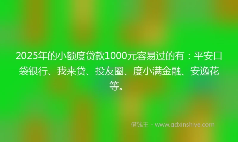 2025年的小额度贷款1000元容易过的有：平安口袋银行、我来贷、投友圈、度小满金融、安逸花等。
