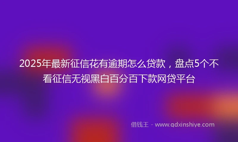2025年最新征信花有逾期怎么贷款，盘点5个不看征信无视黑白百分百下款网贷平台