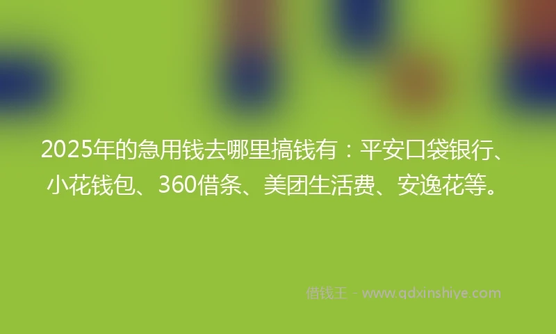 2025年的急用钱去哪里搞钱有：平安口袋银行、小花钱包、360借条、美团生活费、安逸花等。