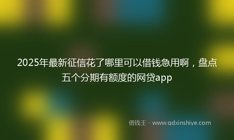 2025年最新征信花了哪里可以借钱急用啊，盘点五个分期有额度的网贷app