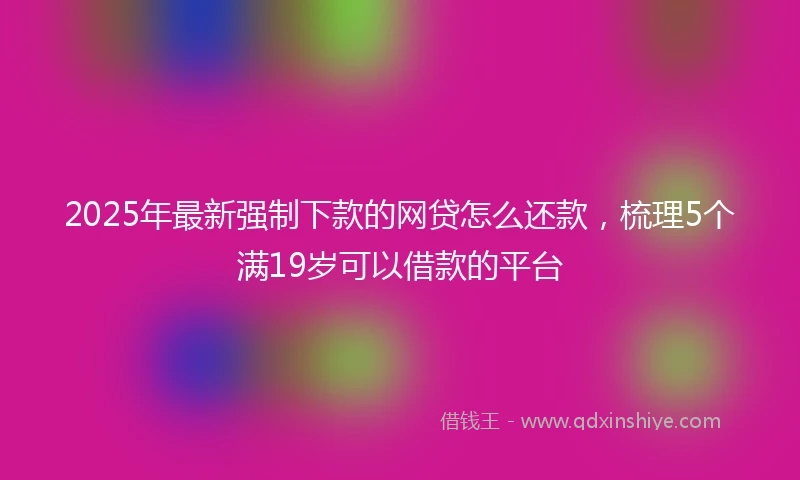 2025年最新强制下款的网贷怎么还款，梳理5个满19岁可以借款的平台