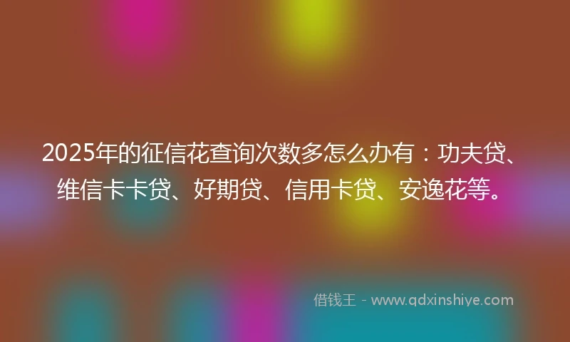 2025年的征信花查询次数多怎么办有：功夫贷、维信卡卡贷、好期贷、信用卡贷、安逸花等。