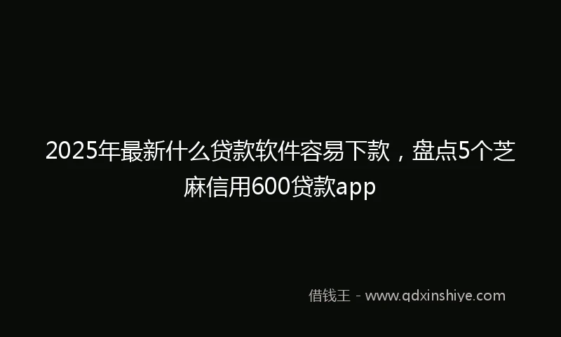 2025年最新什么贷款软件容易下款，盘点5个芝麻信用600贷款app