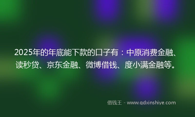 2025年的年底能下款的口子有：中原消费金融、读秒贷、京东金融、微博借钱、度小满金融等。