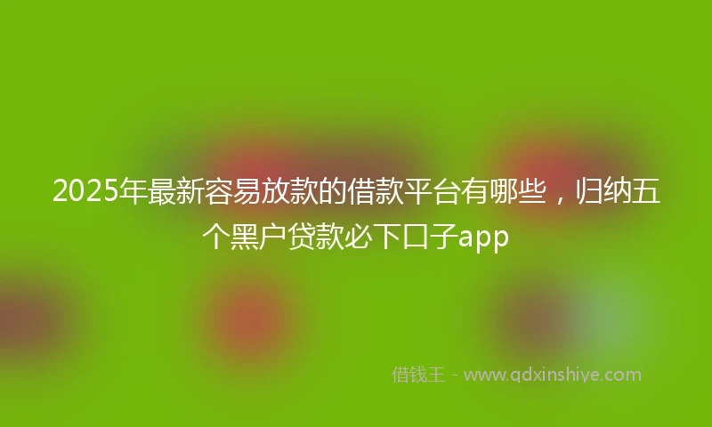 2025年最新容易放款的借款平台有哪些，归纳五个黑户贷款必下口子app