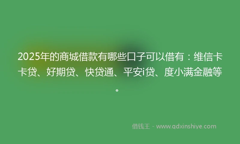 2025年的商城借款有哪些口子可以借有：维信卡卡贷、好期贷、快贷通、平安i贷、度小满金融等。