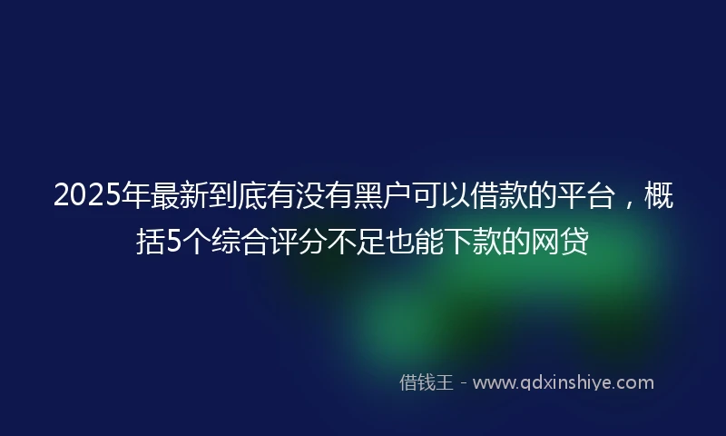 2025年最新到底有没有黑户可以借款的平台，概括5个综合评分不足也能下款的网贷